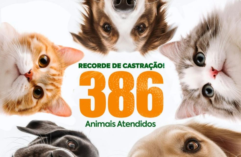 Centro de Castração de Catalão bata recorde de atendimentos