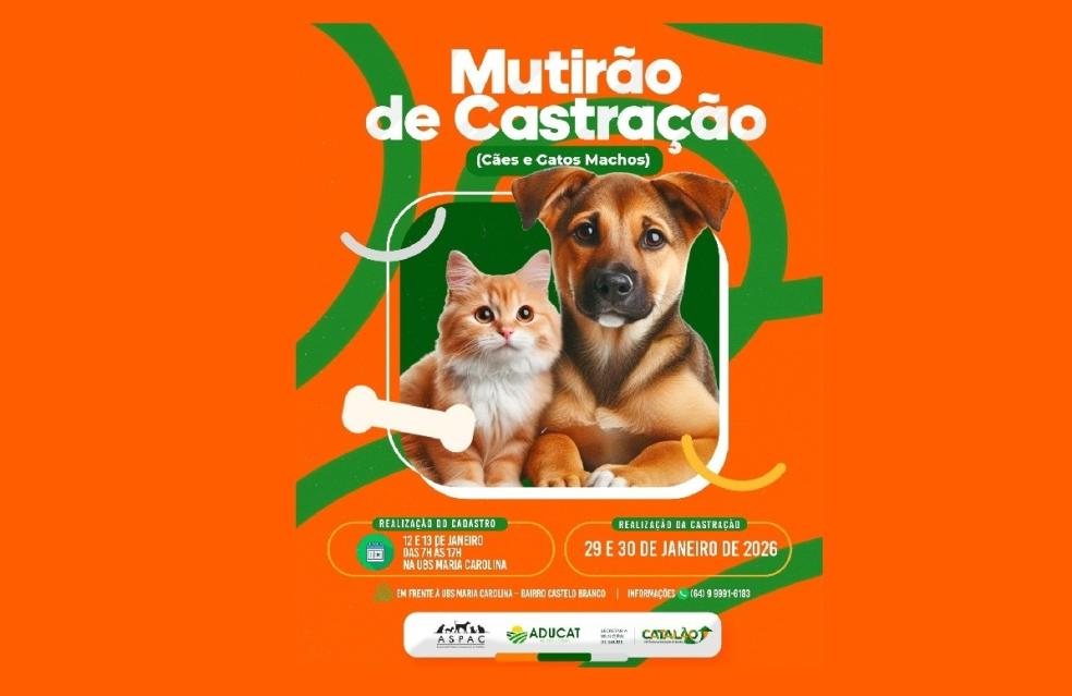 Catalão promove Mutirão de Castração no Castelo Branco